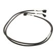 Lenovo SAS cable 1x double SFF-8643 - 2x SFF-8643 80cm - 01KN060