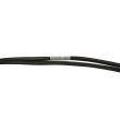 Lenovo SAS cable 1x double SFF-8643 - 2x SFF-8643 80cm - 01KN060