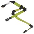 HPE SAS Cable MB to 4x LFF Backplane - P23262-001