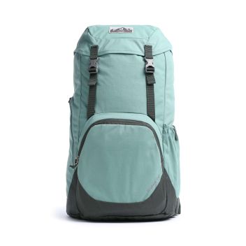 Deuter Walker 24 Backpack greygreen