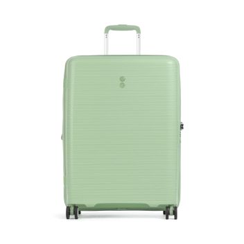 Echolac Forza M Spinner (4 wheels) green