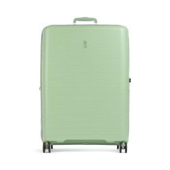 Echolac Forza L Spinner (4 wheels) green