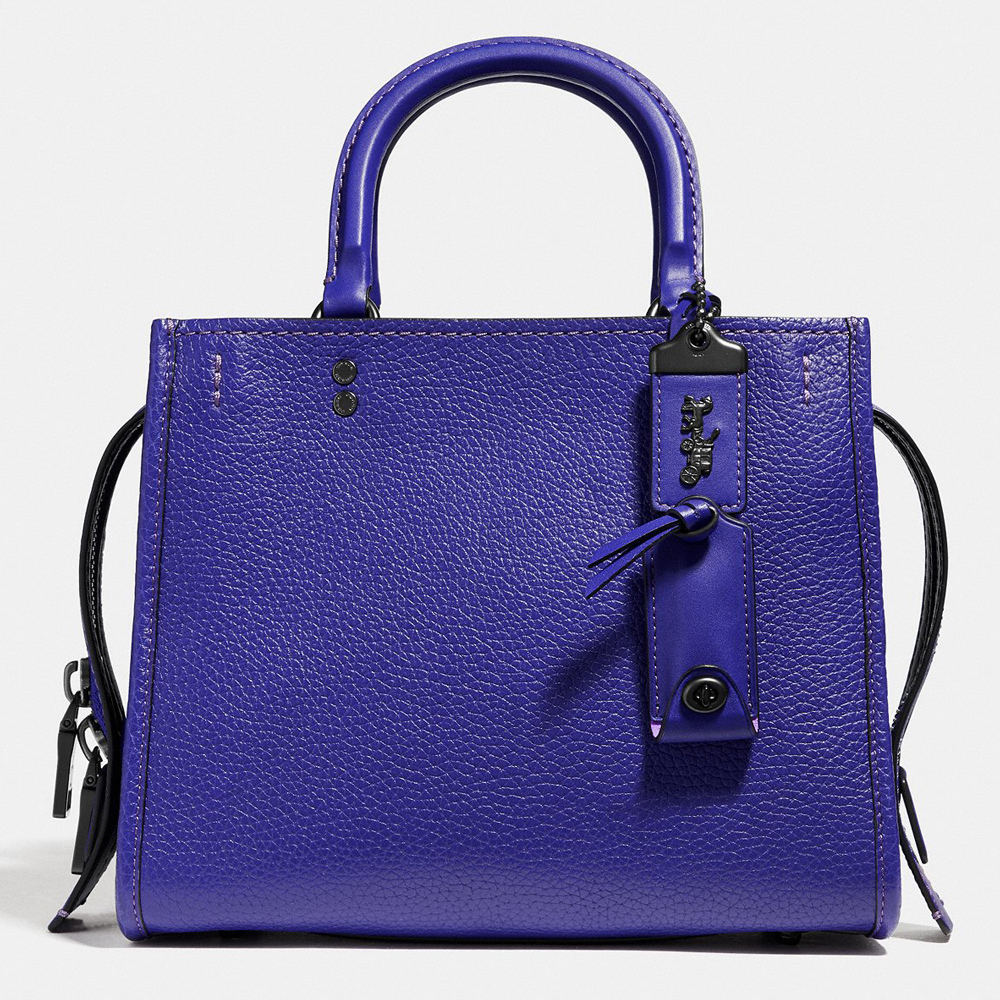 Coach CoachxDisney Rogue25
