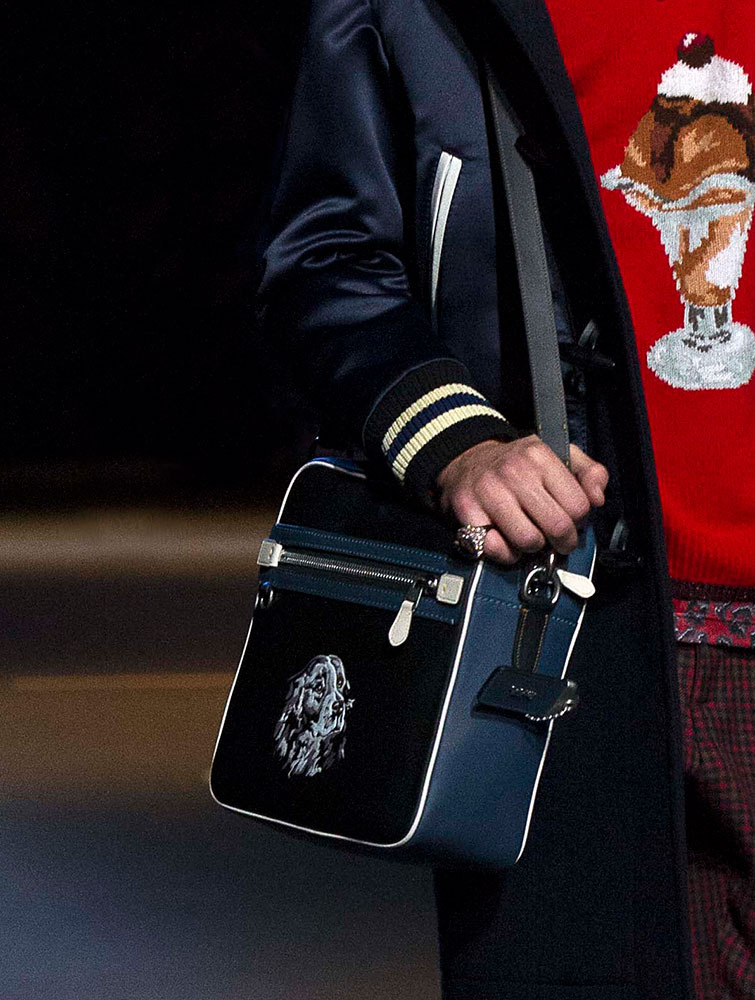 Coach-pre-fall-2017-bags-4