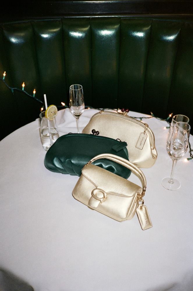 Coach Holiday 49