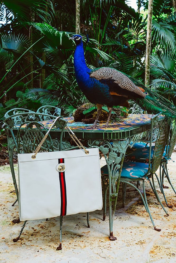A Close Look at Gucci’s New Slim, Sleek Everyday Tote: Design Guide — shape and proportion reference