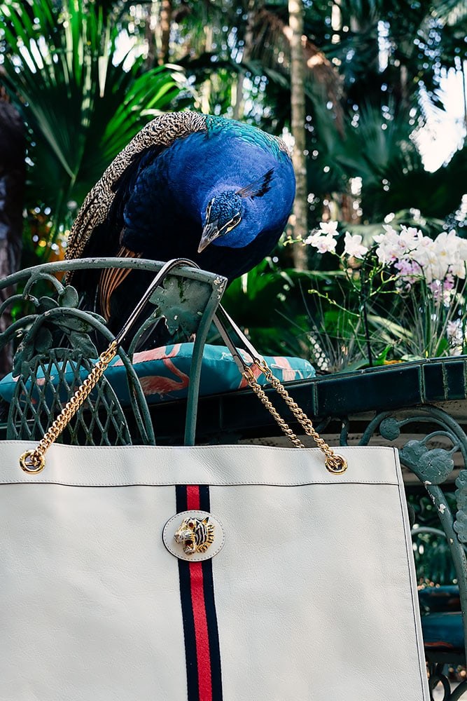 A Close Look at Gucci’s New Slim, Sleek Everyday Tote: Design Guide — design detail