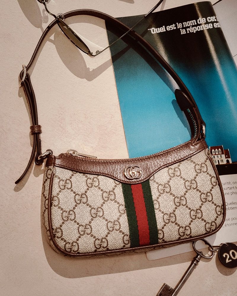 Emily Ratajkowski Fronts Gucci’s Latest Campaign Celebrating Its Timeless Monogram: OutletCity Guide — hardware and…