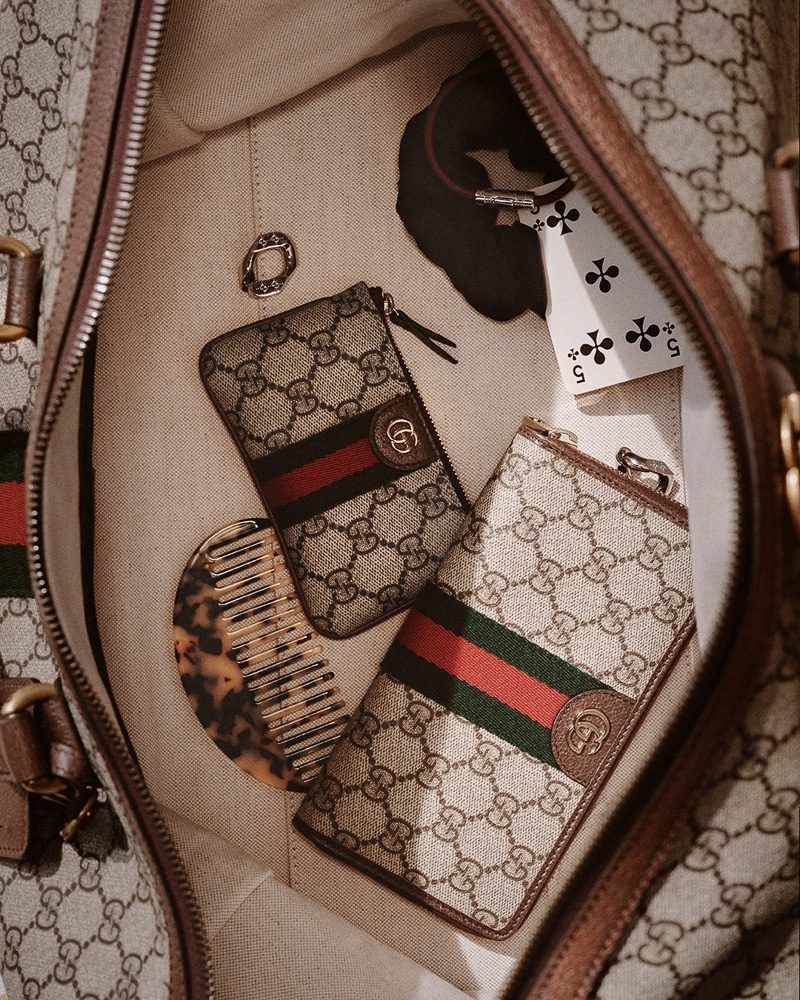 Emily Ratajkowski Fronts Gucci’s Latest Campaign Celebrating Its Timeless Monogram: OutletCity Guide — carrying and styling…