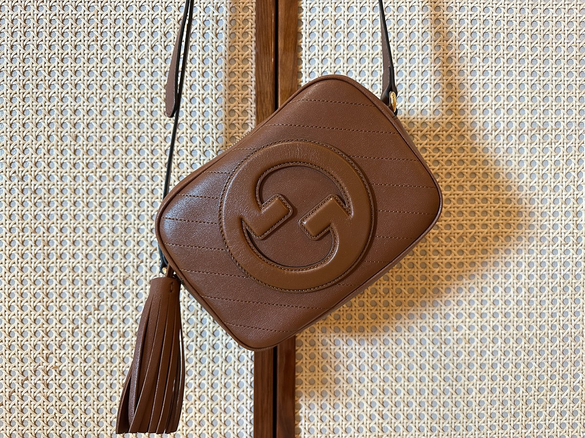 Get Ready to Turn Heads with the New Gucci Blondie Bag: Design Guide — shape and proportion reference