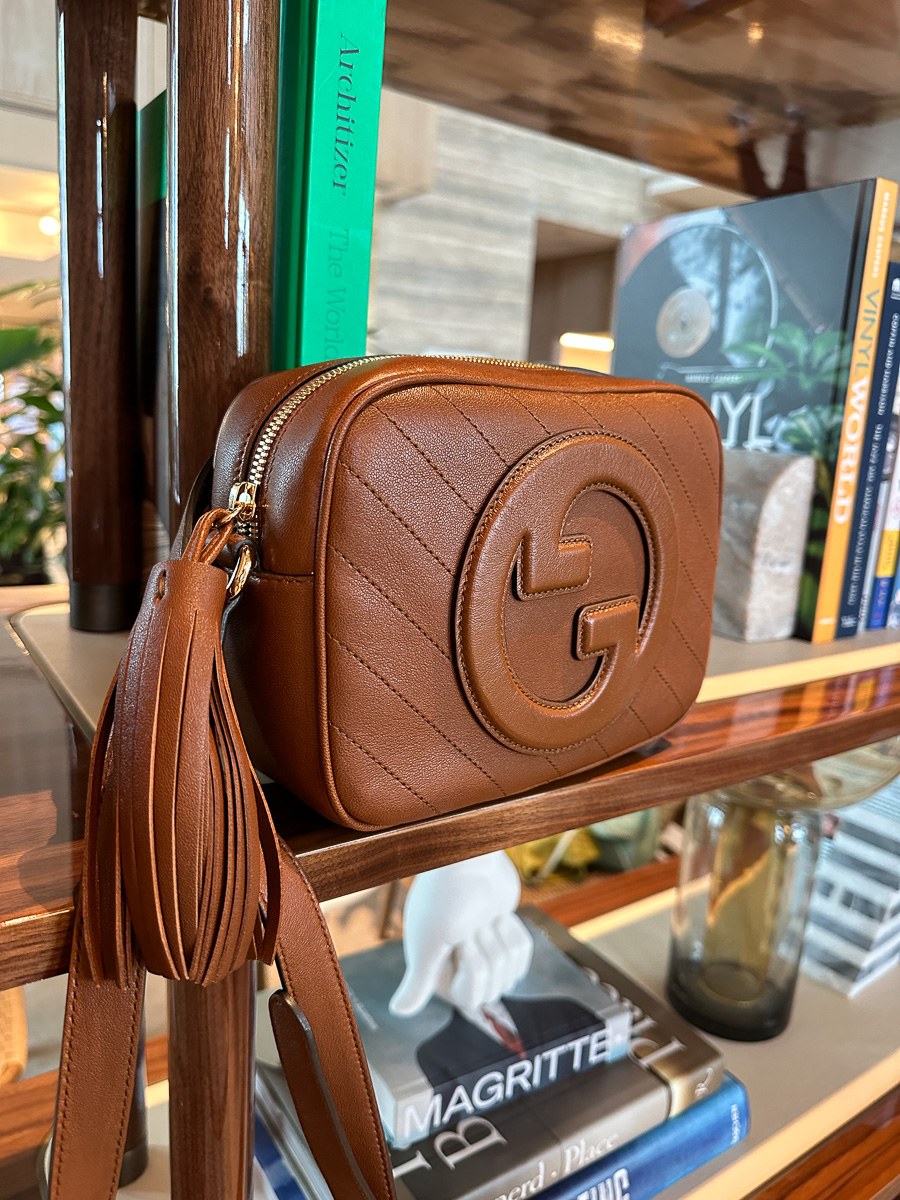 Get Ready to Turn Heads with the New Gucci Blondie Bag: Design Guide — material and finish reference