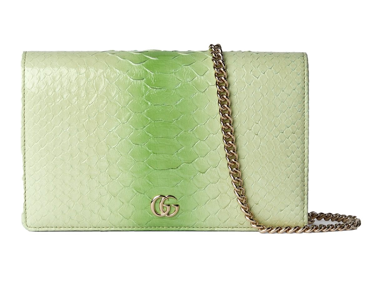 Gucci Colored Python Bags: Material and Styling Notes — design detail