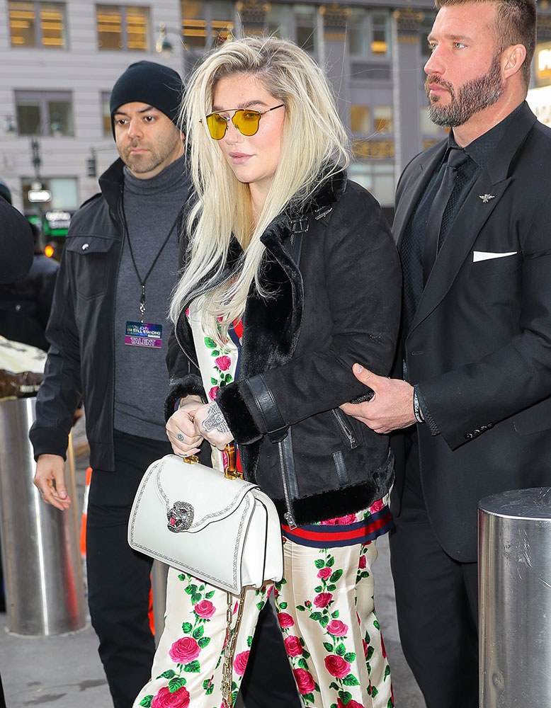 Just Can’t Get Enough: Kesha and Her Gucci Frame Bag: OutletCity Guide — shape and proportion reference