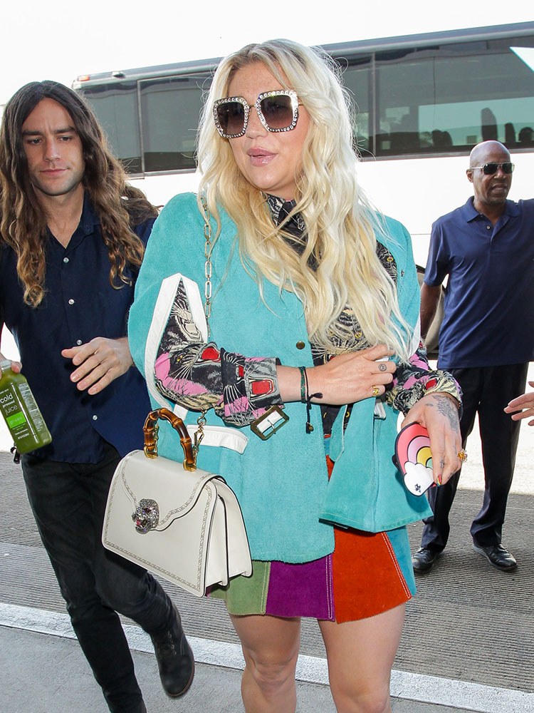 Just Can’t Get Enough: Kesha and Her Gucci Frame Bag: OutletCity Guide — design detail