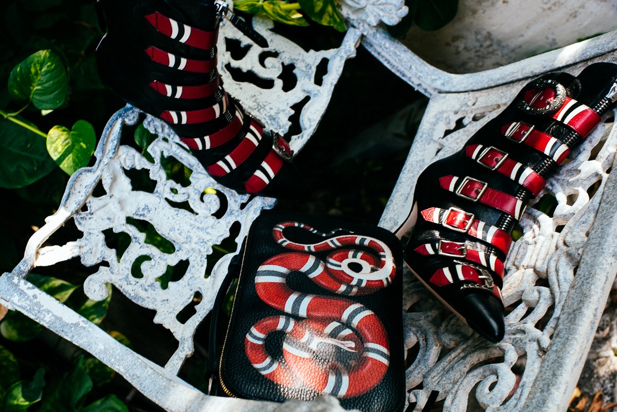 Take a Chic Walk on the Wild Side with Gucci Cruise 2017: Runway Analysis — additional editorial view
