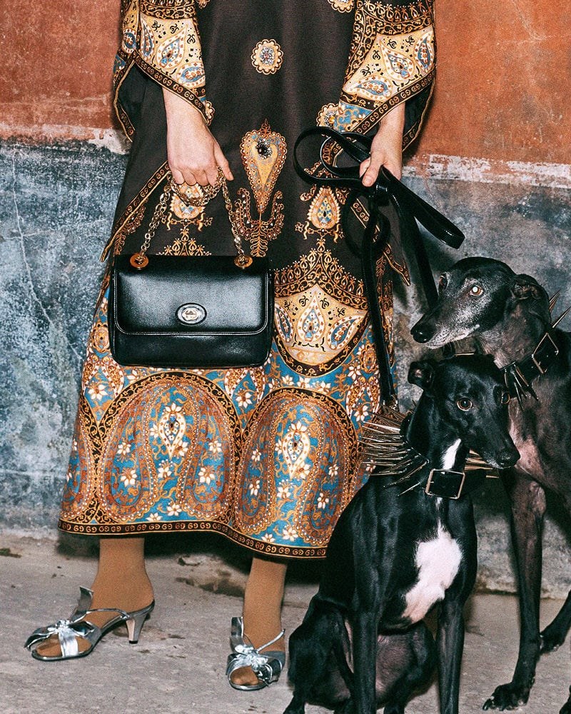 Your First Look at Gucci’s Pre-Fall 2019 Bags: Collection Guide — shape and proportion reference